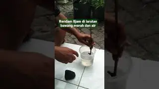 Cara Mudah Cutting atau Stek Anggur agar 90% berhasil #shorts #viral #anggur