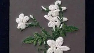 jasmine flower