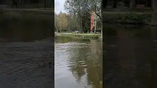 5 сентября 2021 г.