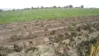 Самодельный трактор 6
