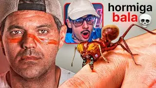 frank cuesta vs hormiga bala. - bichos #1