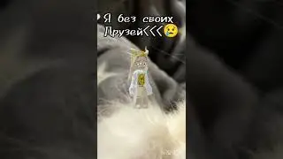 Я без Семёна, Алины, Карины, Даши, Выси(