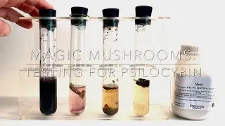 Magic Mushrooms: Testing for Psilocybin