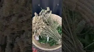 Yarrow, Lemon Verbena and Rosemary Ale Recipe