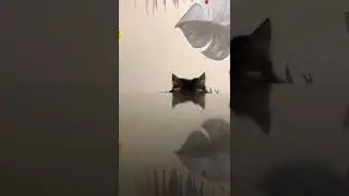 любимые коты #коты