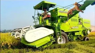 Surindera 930 🐆 New Model Combine Harvester with Advance SMS Technology