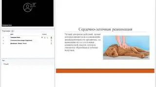 Сердечно-легочная реанимация. Правило САВ. Показания к САВ. Техника выполнения. Препараты.