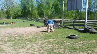 Дрессировка в Торжке УДП "НОВОТОР" н.о. Айна  отработка перехвата
