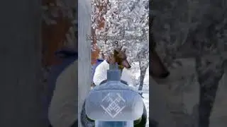Некогда не пытайтесь отбирать танк с ревика) #мем #rust #memes #видео #раст #dance #shrek #edit