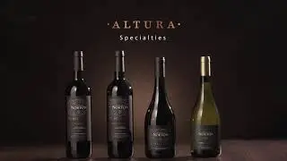 Norton Altura
