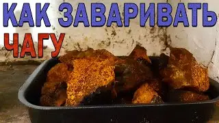 Дедовский способ борьбы с коронавирусом. Часть 2. Как заваривать чагу.