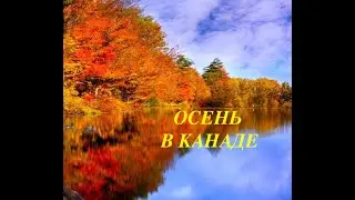 Золотая осень Канады #краскиосени #красотаприроды