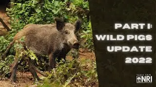 Feral Swine Control Pilot Program Workshop: Part I