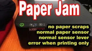 L3110 Epson Printer Paper Jam, But All Normal, Except This