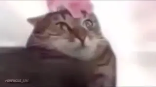 SI TE GUSTA FNAF TIENES Q VER ESTO  🍕  🎤