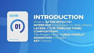 Infographics Animation After Effects || Adobe After Effects