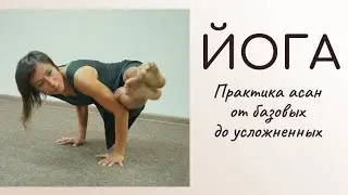 Практика Йоги на все тело/ Базовые и сложные асаны