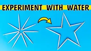 Experiment with water and toothpicks | Exploring Water Science