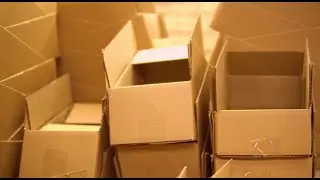 Бизнес Вектор. Рынок упаковки товаров.