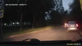 Пешеходы, почему вы не бережете жизнь?..