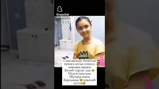 11 июня 2024 г.