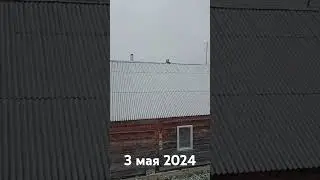 Марий эл . май месяц.