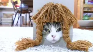 ччБез названия