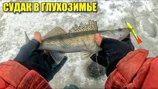 ЭТО ЖЕСТЬ! ОГРОМНЫЕ СУДАКИ НА ВИБЫ И БАЛАНСИРЫ СО ЛЬДА, ВОЛГА ЩЕДРА