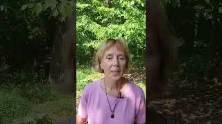 👉🏻 Регистрация по ссылке ниже