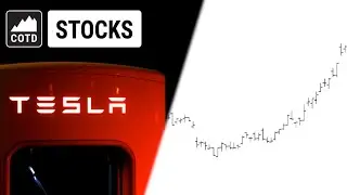 When and Why Our Subscribers Took a 50 Percent Ride with Tesla