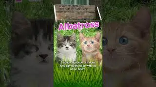 If you had two albatrosses what would you call them?