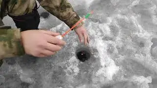 РЫБАЛКА НА НОВОГОДНИИ КАНИКУЛЫ, ловим живца, ставим жерлицы..