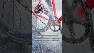 Winter-Ready LIBERTÉ Bike | Rust-Free Carbon Gates Belt for Smooth Rides!