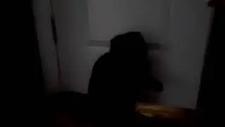 Тофик, очень злой кот.