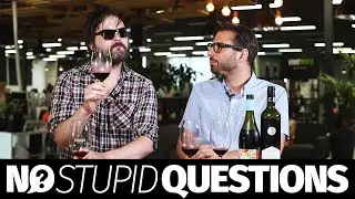 No Stupid Wine Questions: Best red wines to chill