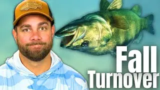 Prepare NOW For The FALL TURNOVER