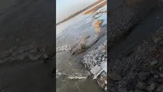 3 мая 2024 г.