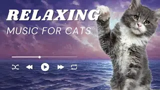 1 Hour of Relaxing Music for Cats (And Humans)
