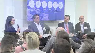 Investing in Reforestation in Brazil: Opportunities Beyond Carbon Credits - Highlights