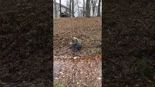 Parkour