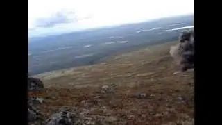 Авиационный боеприпас времен ВОВ найден в окрестностях Мончегорска