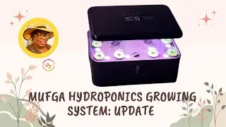 Week 2: Herbs Garden Update | Shoutout