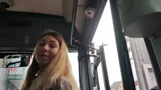 Ex. brněnský Irisbus CROSSWAY 12M LE [VOITH] #449 |L19|, MHD LIBEREC