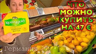 В ЛИДЛ ЦЕНЫ / ЗА ГОД ВСЕ РАЗЪЕХАЛИСЬ