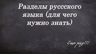 Разделы русского языка и с чем их едят