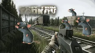 Вот и сидуны пришли #eft #escapefromtarkov