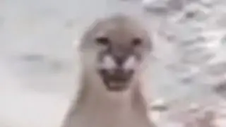 GUH