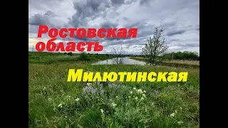 красота Ростовской области станицы Милютинская,Тацинская,Жирнов