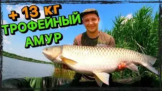 Ловля амура и карпа на Марьевском водохранилище! Трофейный амур в моей жизни. Часть 2