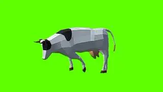 Green screen Cow video | Black & White Cow running green screen
